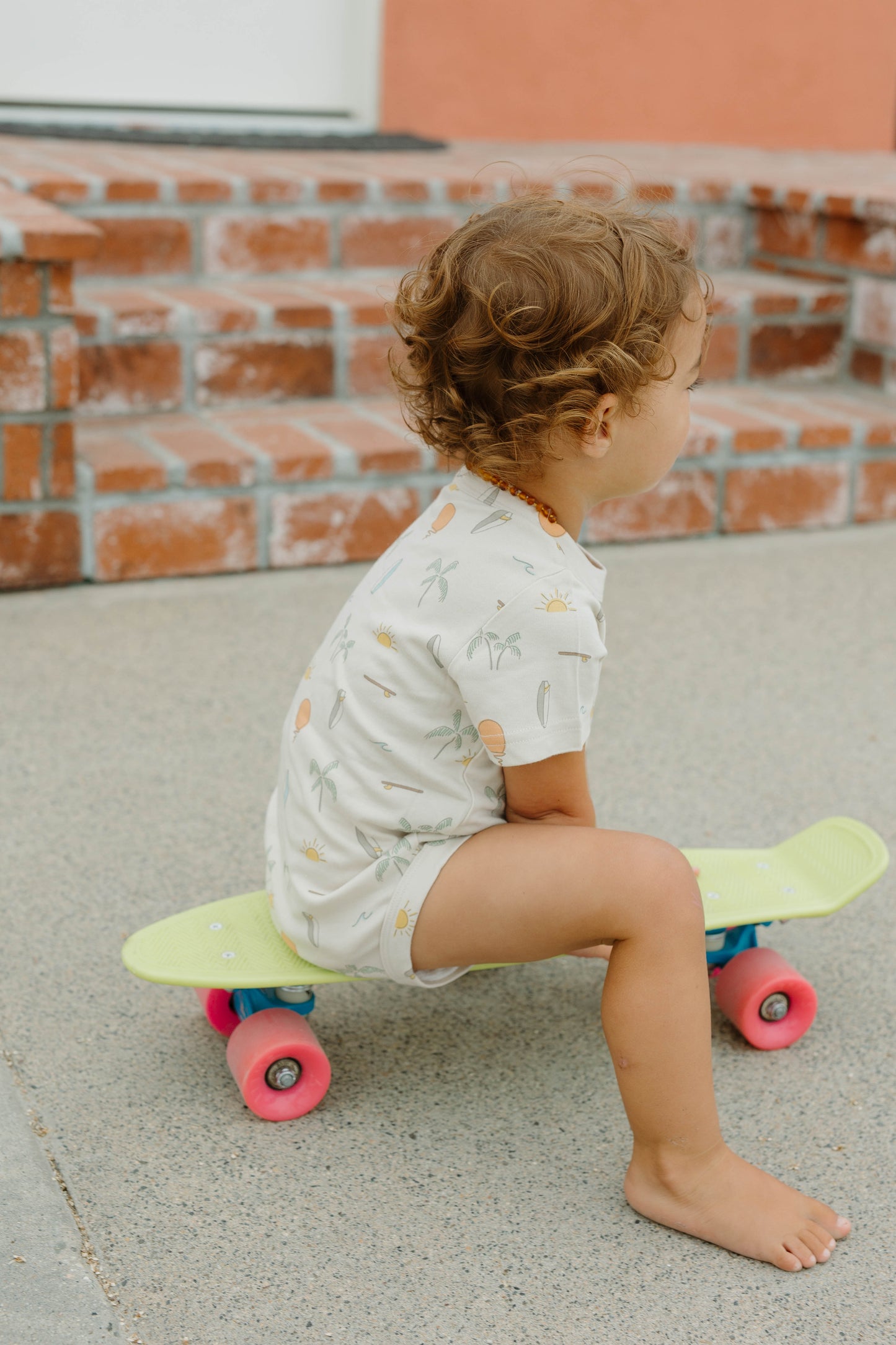 Swell Cruiser Skateboard