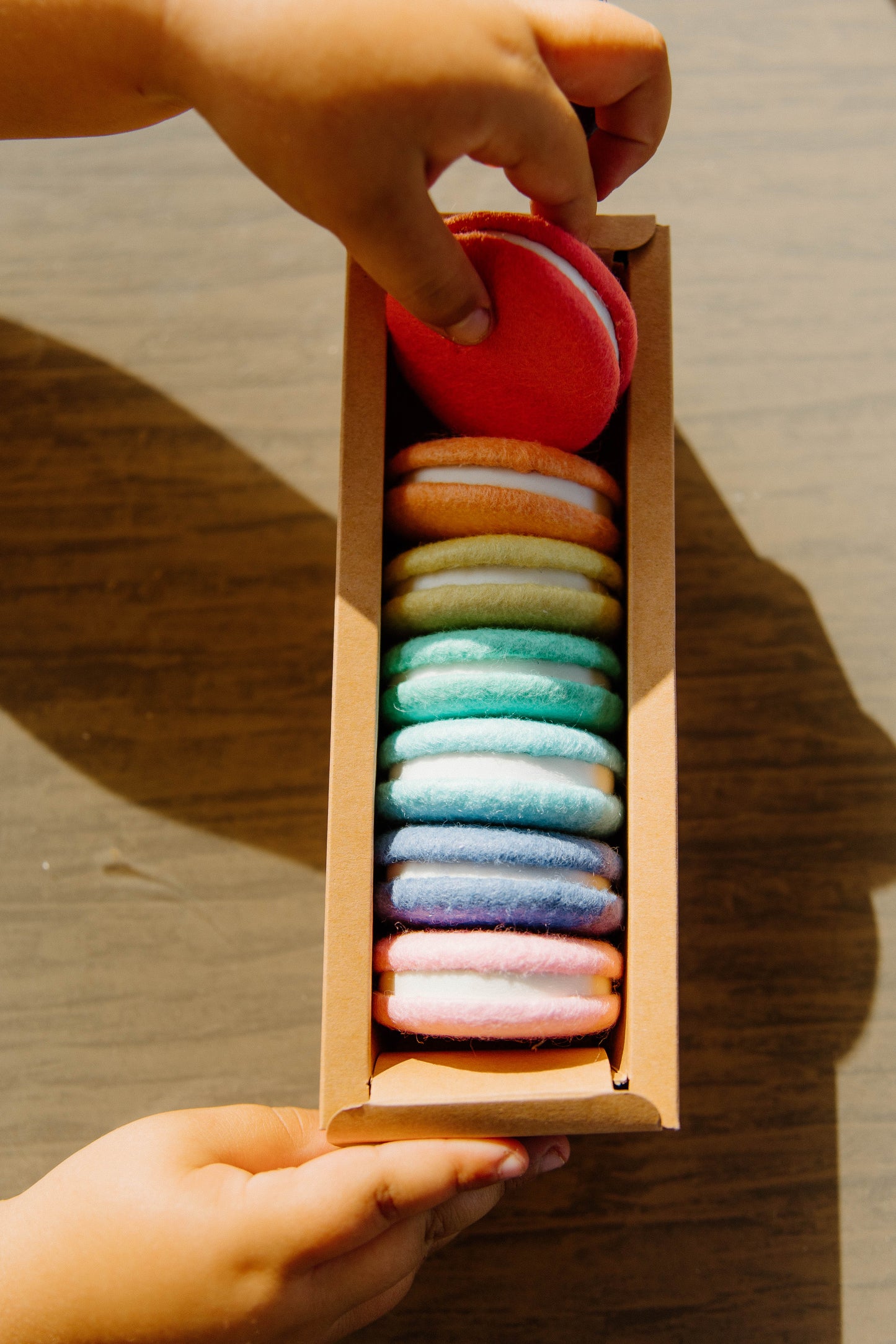 Macarons Felt food